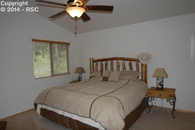 655 High Pasture Road Florissant, CO 80816 - Photo 10 of 21 Gallery Image 10