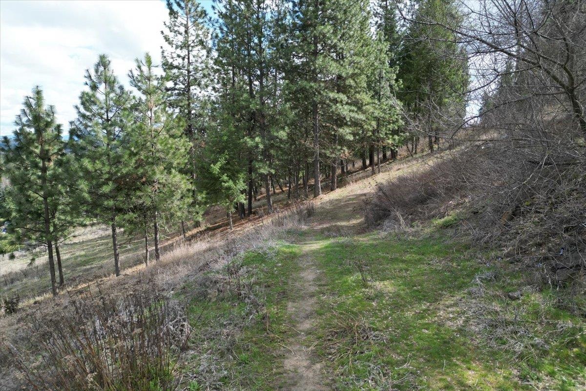 1411 West Toni Rae Drive Spokane, WA 99218 - Photo 2 of 9