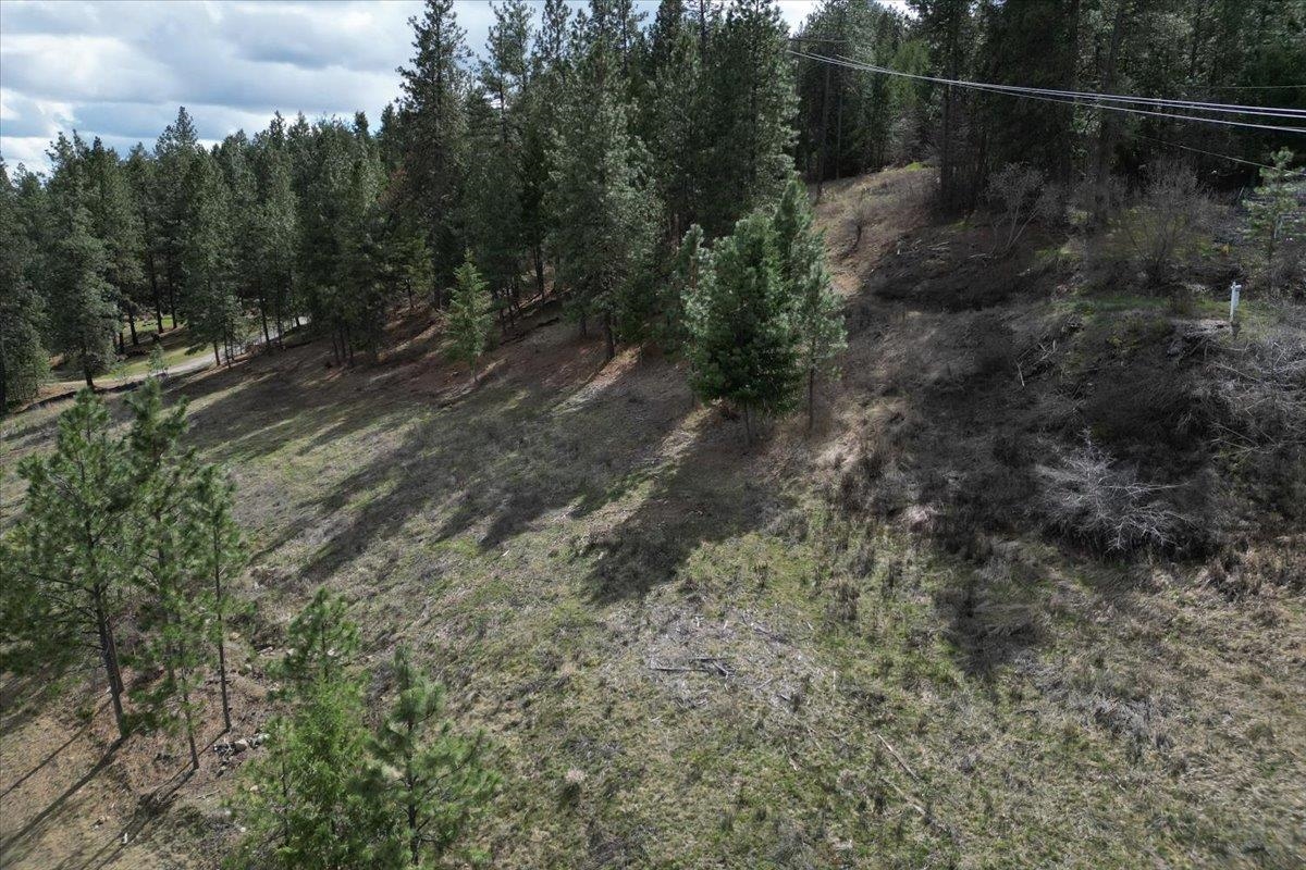 1411 West Toni Rae Drive Spokane, WA 99218 - Photo 6 of 9