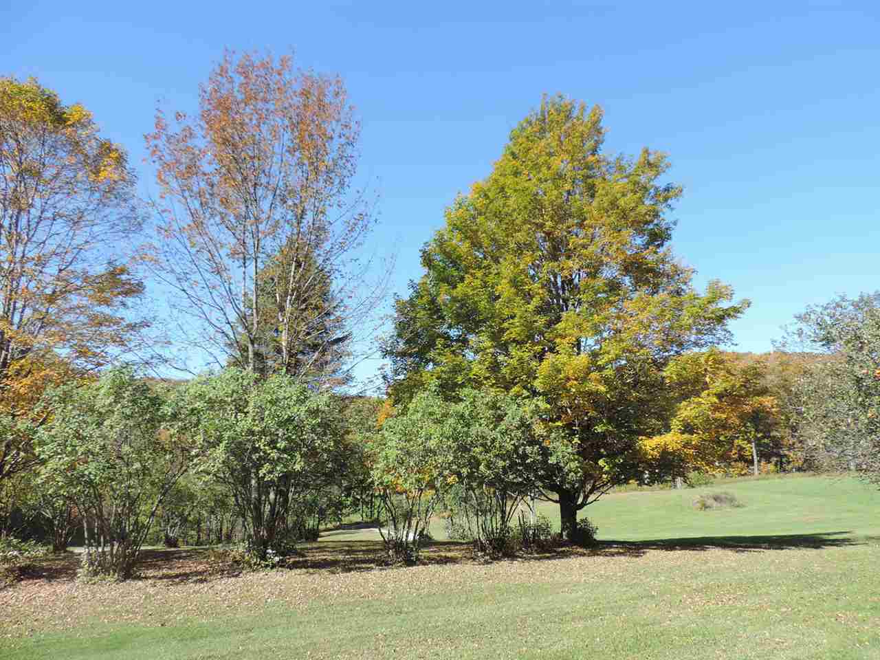2826 Pawlet Mountain Road Rupert, VT 05775 - Photo 2 of 14 Gallery Image 2