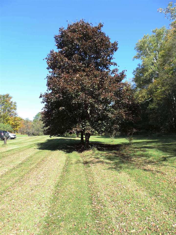 2826 Pawlet Mountain Road Rupert, VT 05775 - Photo 3 of 14 Gallery Image 3