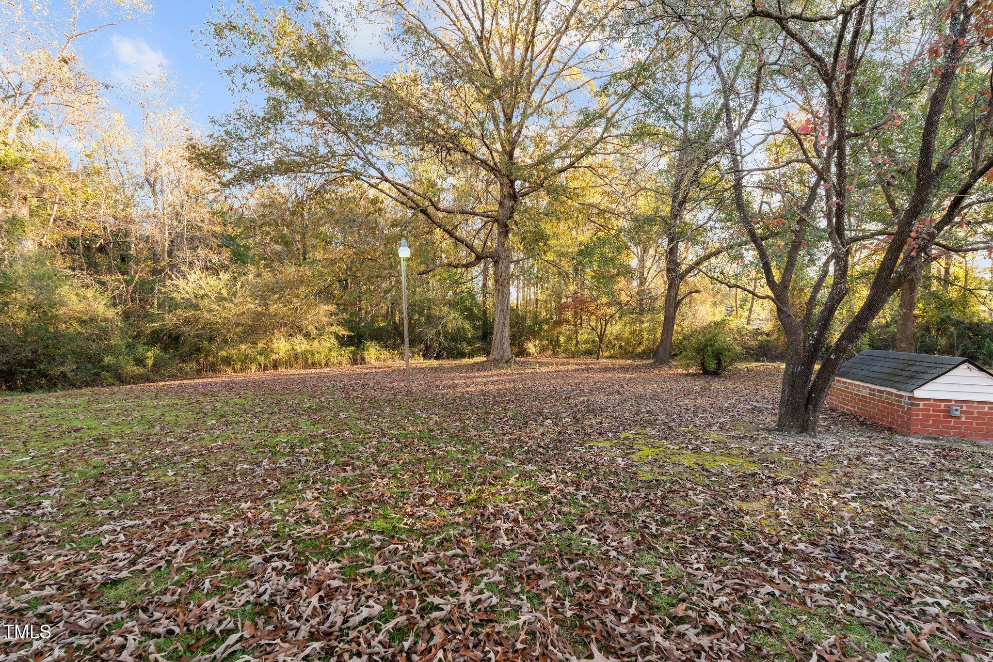 830 Delma Grimes Road Coats, NC 27521 - Photo 15 of 18 41-web-or-mls-DSC07341