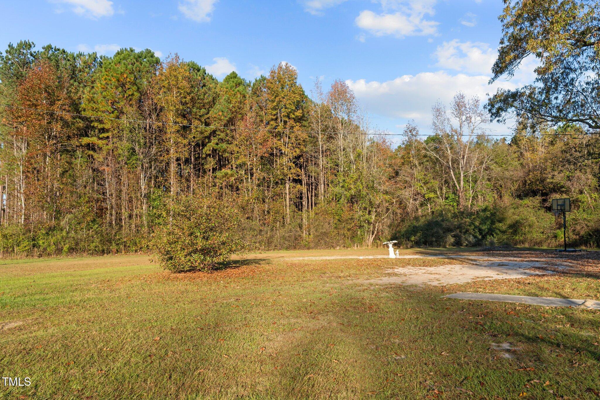 830 Delma Grimes Road Coats, NC 27521 - Photo 3 of 18 37-web-or-mls-DSC07337