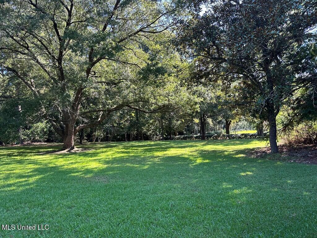 220 Lower Woodville Road Natchez, MS 39120 - Photo 16 of 23 20242609_12