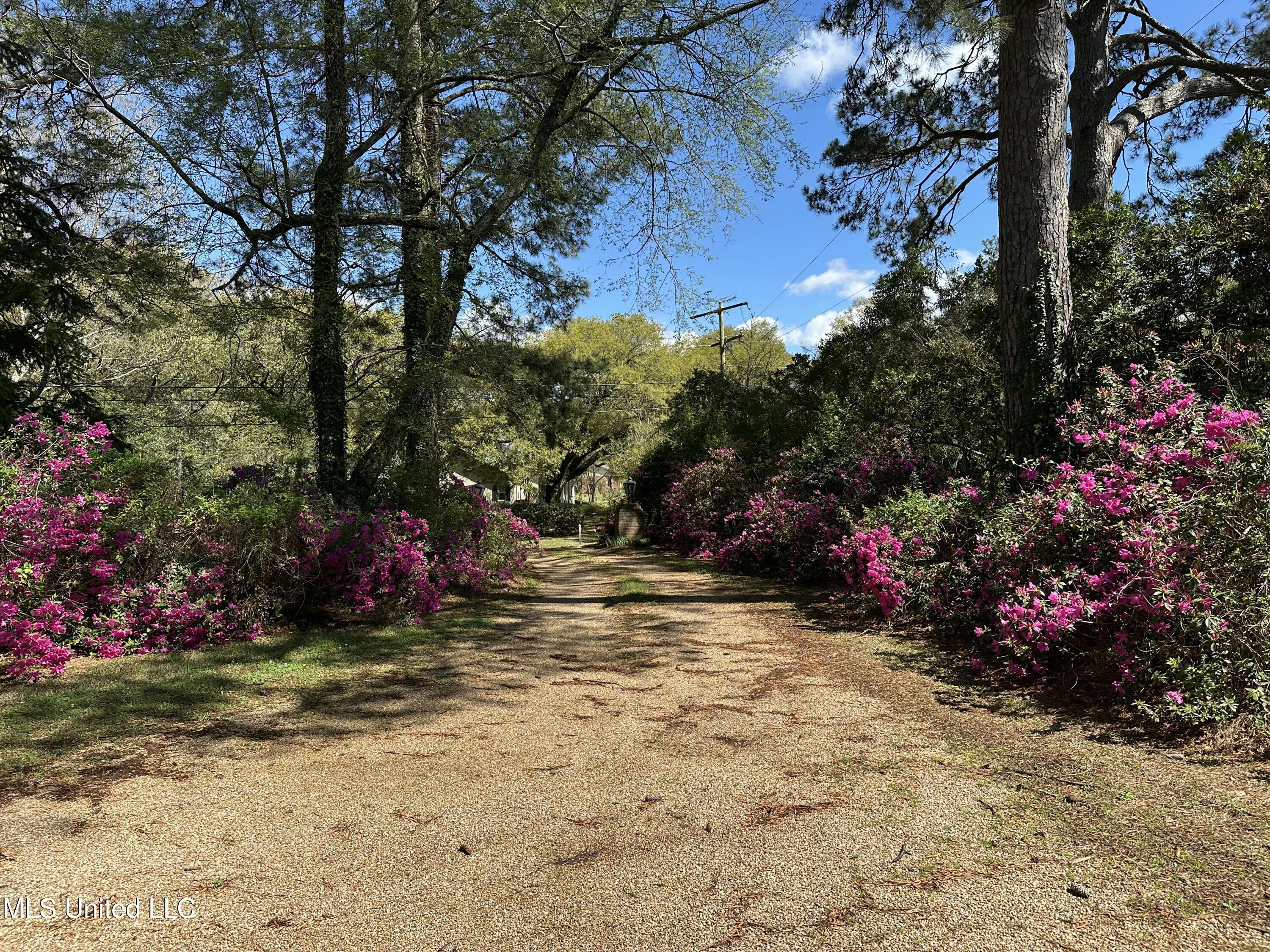 220 Lower Woodville Road Natchez, MS 39120 - Photo 20 of 23 IMG_7207