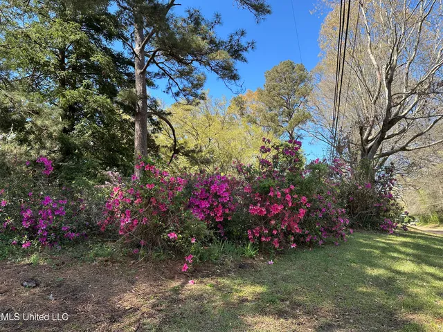 $275,000 | 220 Lower Woodville Road, Natchez, MS 39120