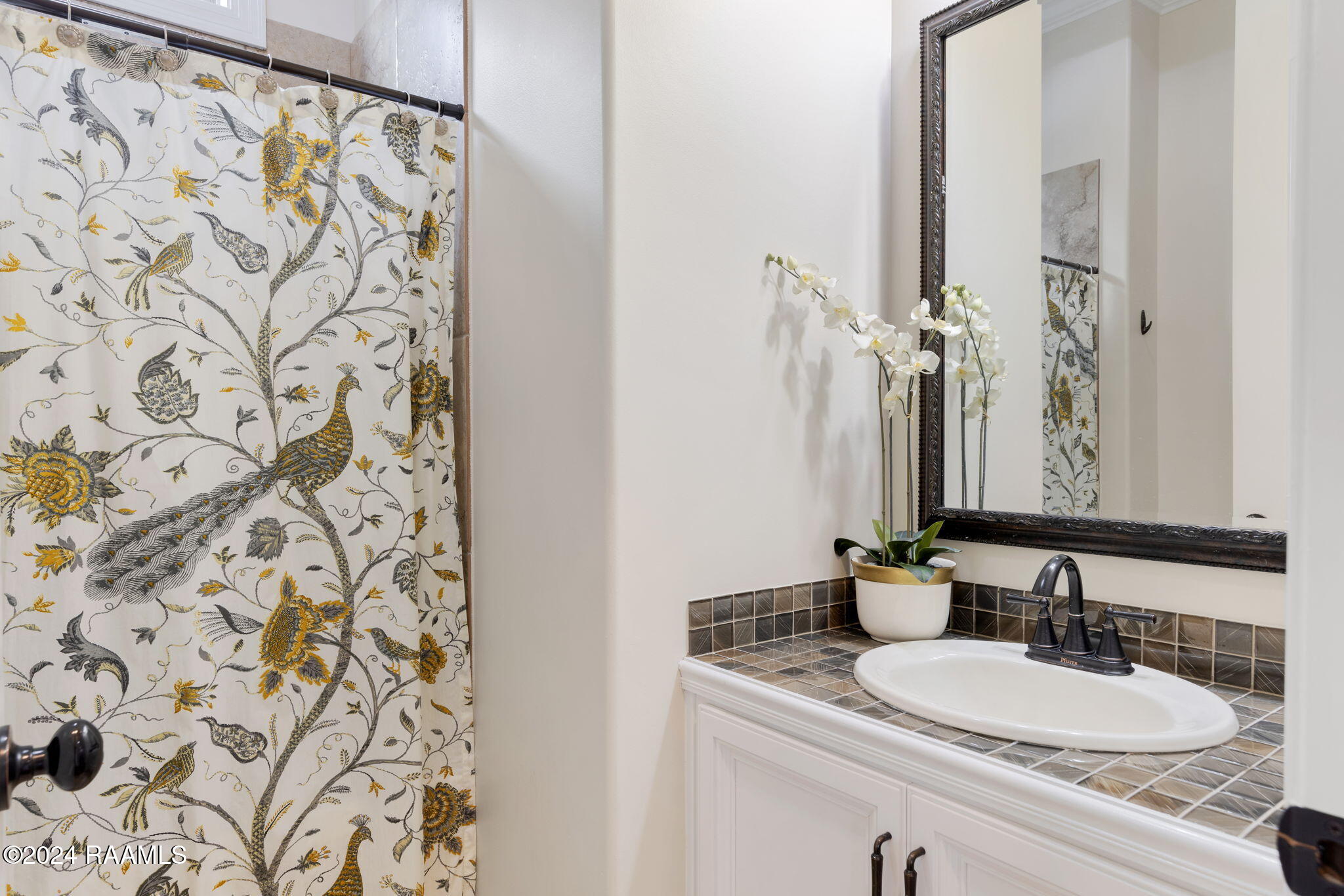 207 Rue De Frejus Broussard, LA 70518 - Photo 28 of 33 Guest Bath