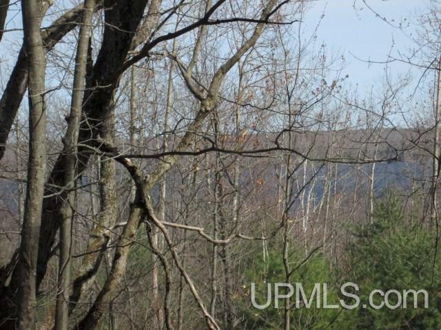 Tbd Golf Course Road Calumet, MI 49913 - Photo 2 of 21