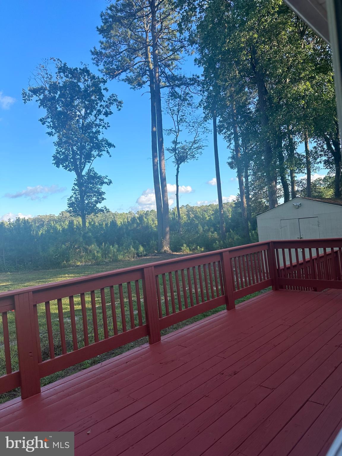 18533 Downs Road Georgetown, DE 19947 - Photo 19 of 19