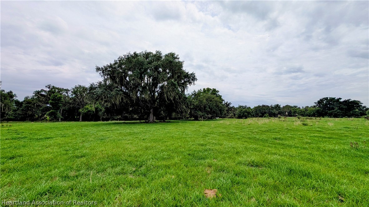 Popash Road Wauchula, FL 33873 - Photo 4 of 29 a view of field with grass and trees