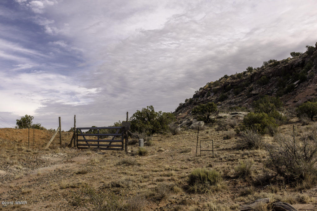 3352 Geronimo Road Snowflake, AZ 85937 - Photo 1 of 19 a view of a dry yard with lots of trees