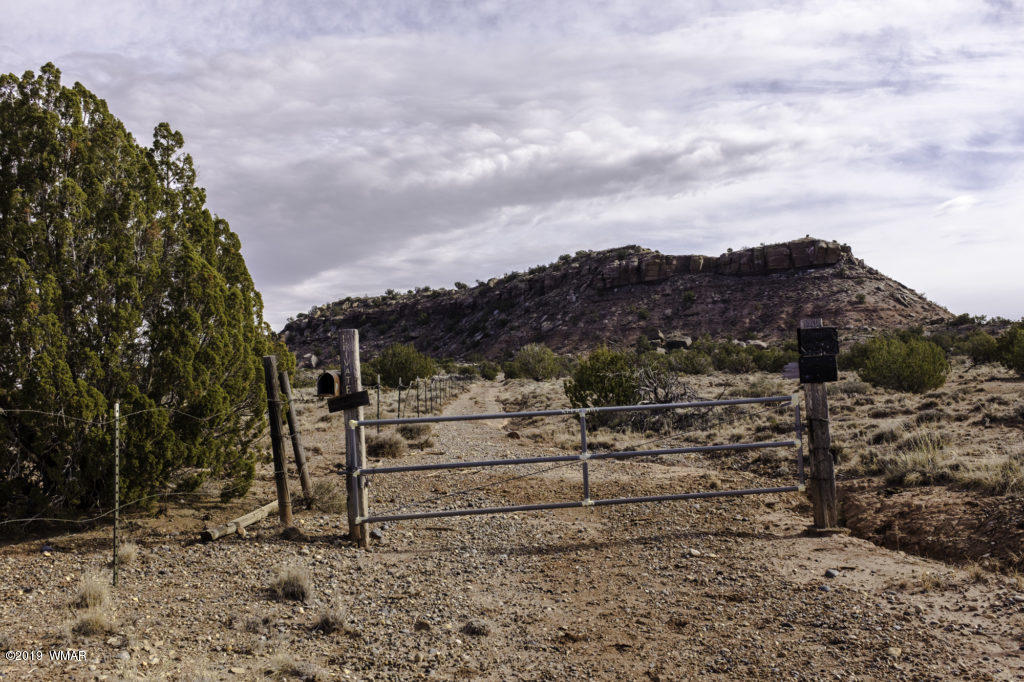 3352 Geronimo Road Snowflake, AZ 85937 - Photo 6 of 19 a view of a dry yard with wooden fence