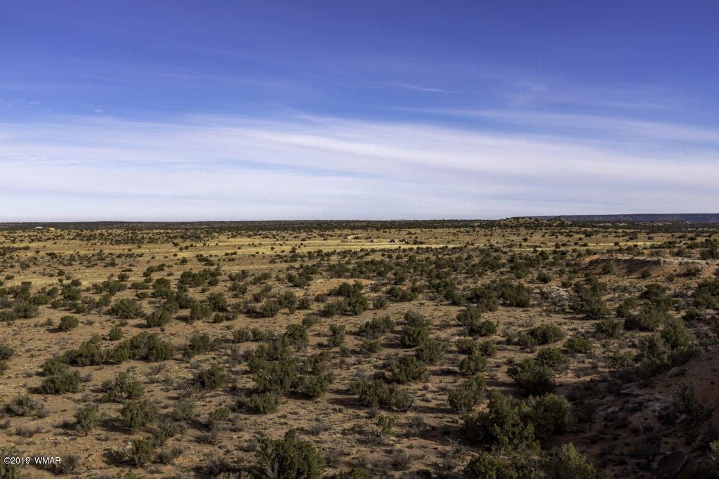 3352 Geronimo Road Snowflake, AZ 85937 - Photo 8 of 19