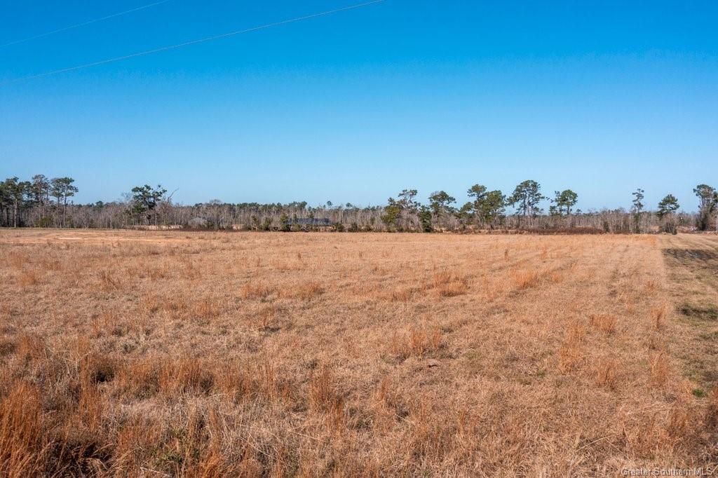 0 Jackson-Gimnick Loop Ragley, LA 70657 - Photo 4 of 6