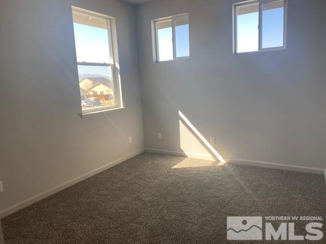 159 Relief Springs Road Fernley, NV 89408 - Photo 19 of 34 Photo 19