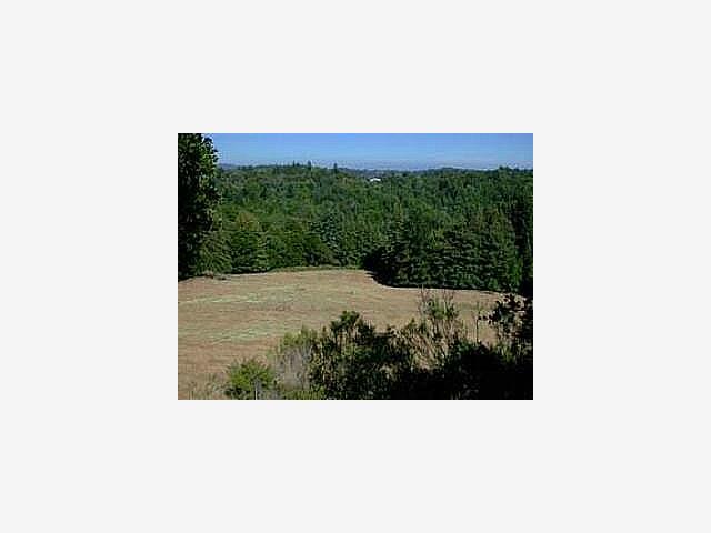 2149 Lockhart Gulch Road Scotts Valley, CA 95066 - Photo 3 of 4 Gallery Image 3