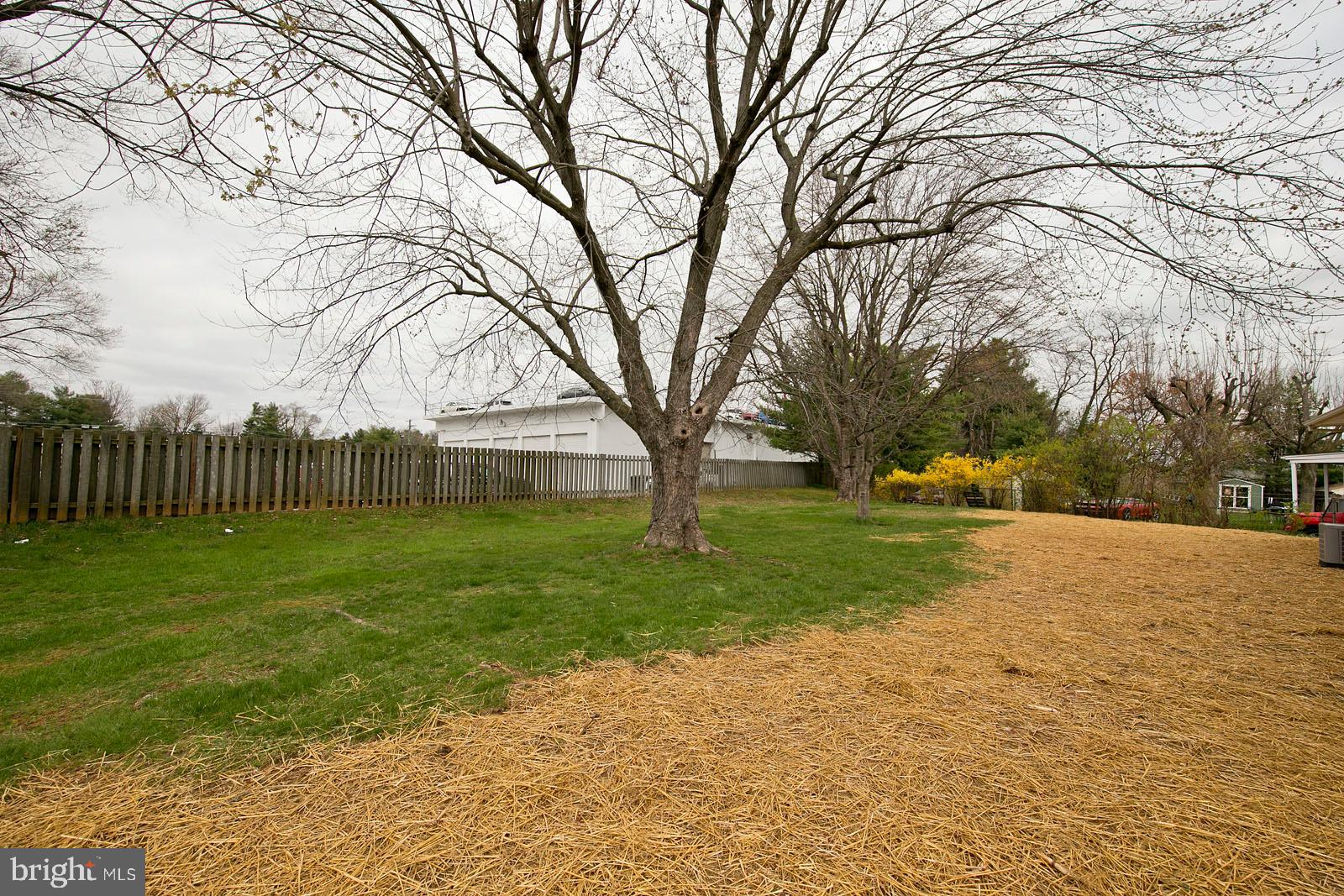 531 Applecroft Road Winchester, VA 22601 - Photo 7 of 50 Large, fenced backyard
