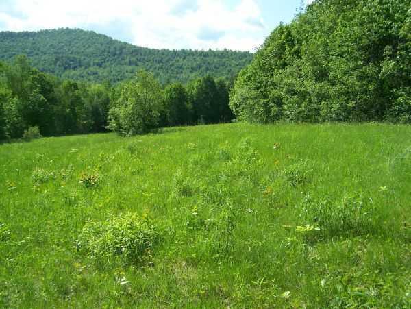 0 Norton Road Dixfield, ME 04224 - Photo 3 of 5 Land/Lot.