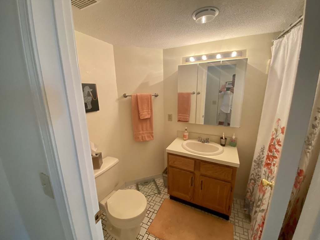 215 Trailside Way, Unit 215 Ashland, MA 01721 - Photo 15 of 15 a bathroom with a sink a toilet a mirror a vanity and shower