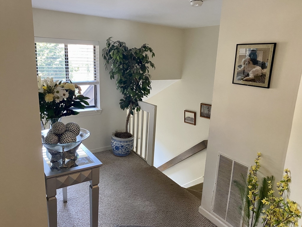 215 Trailside Way, Unit 215 Ashland, MA 01721 - Photo 2 of 15 a living room with furniture and a potted plant