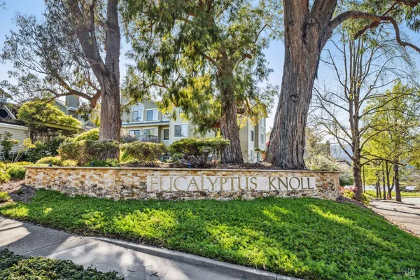 $469,000 | 123 Eucalyptus Knoll Street, Mill Valley, CA 94941