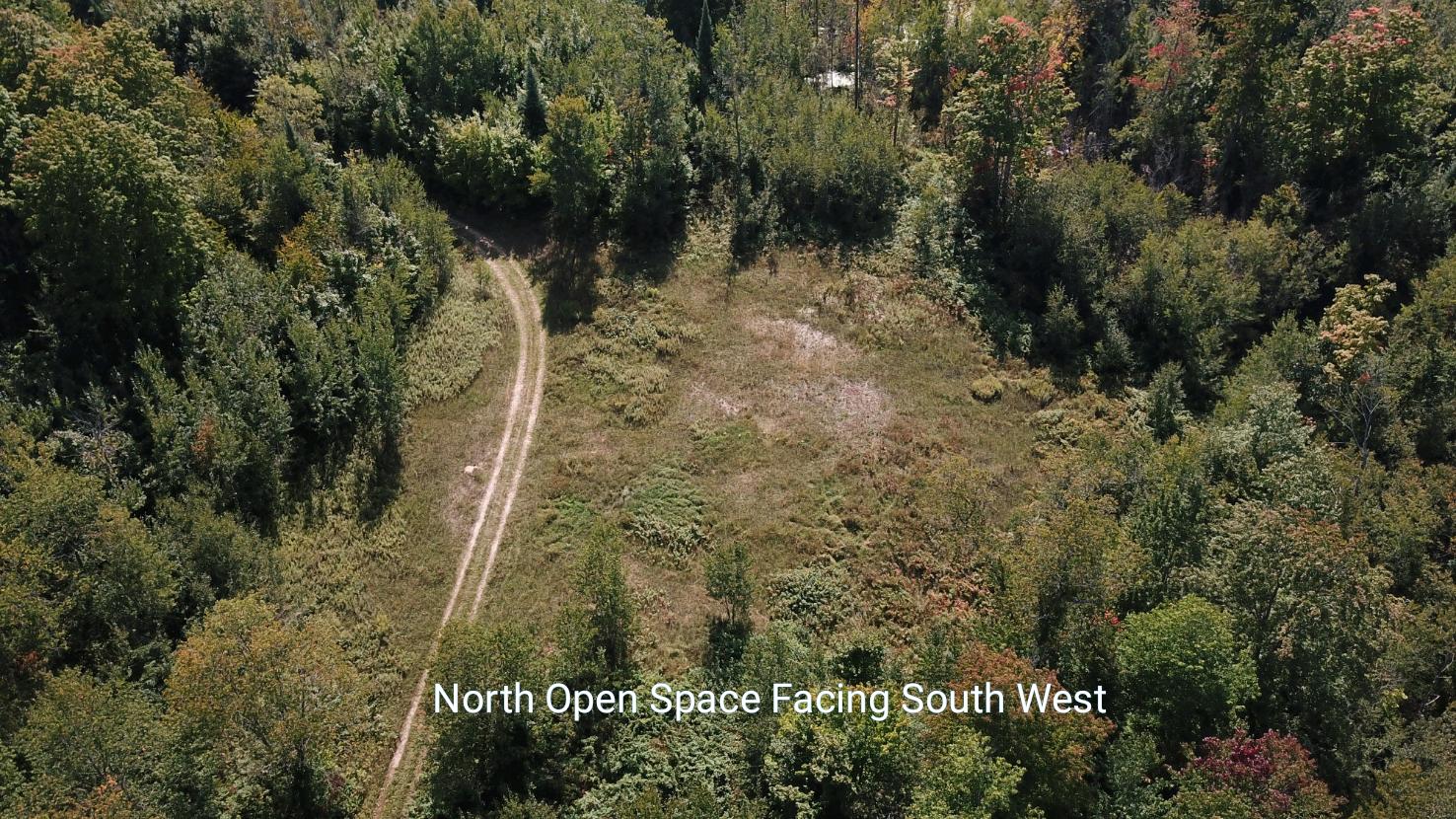 West Huffman Lake Road Vanderbilt, MI 49795 - Photo 3 of 16 Gallery Image 3