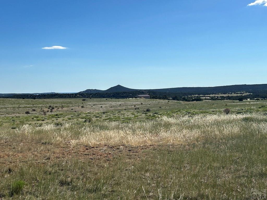 Lot 46 River Ridge Trail La Veta, CO 81055 - Photo 12 of 18