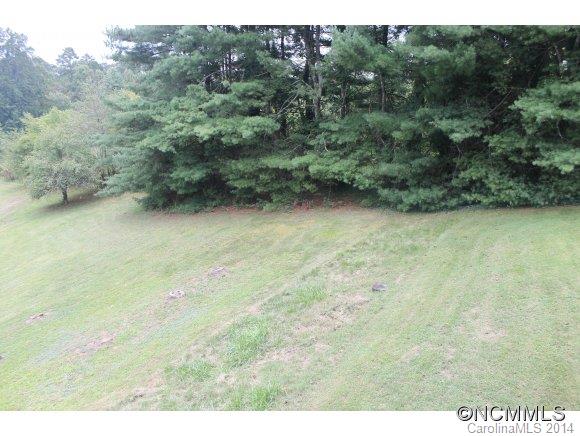 1198 Alexander Road Leicester, NC 28748 - Photo 22 of 22 Gallery Image 22