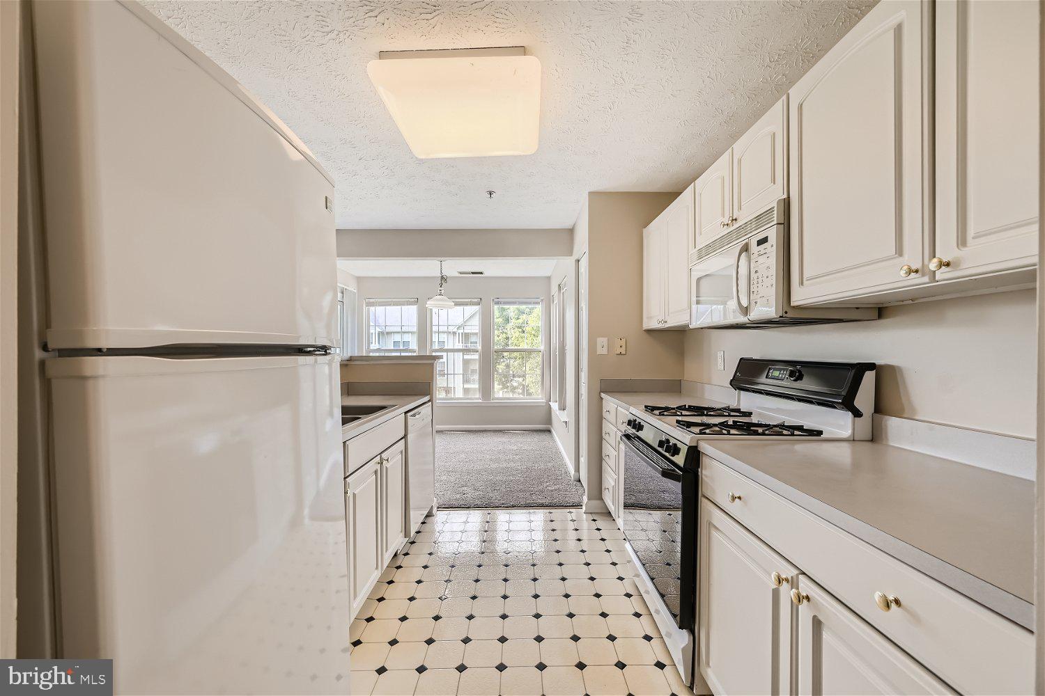 2443 Blue Spring Court, Unit 203 Odenton, MD 21113 - Photo 10 of 32
