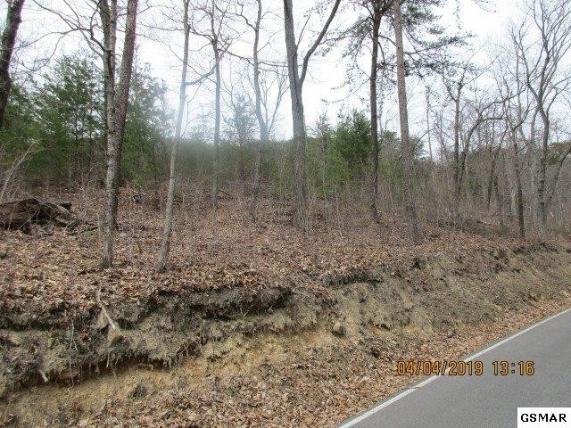 129 Bluff Mountain Road Sevierville, TN 37876 - Photo 2 of 7 Gallery Image 2