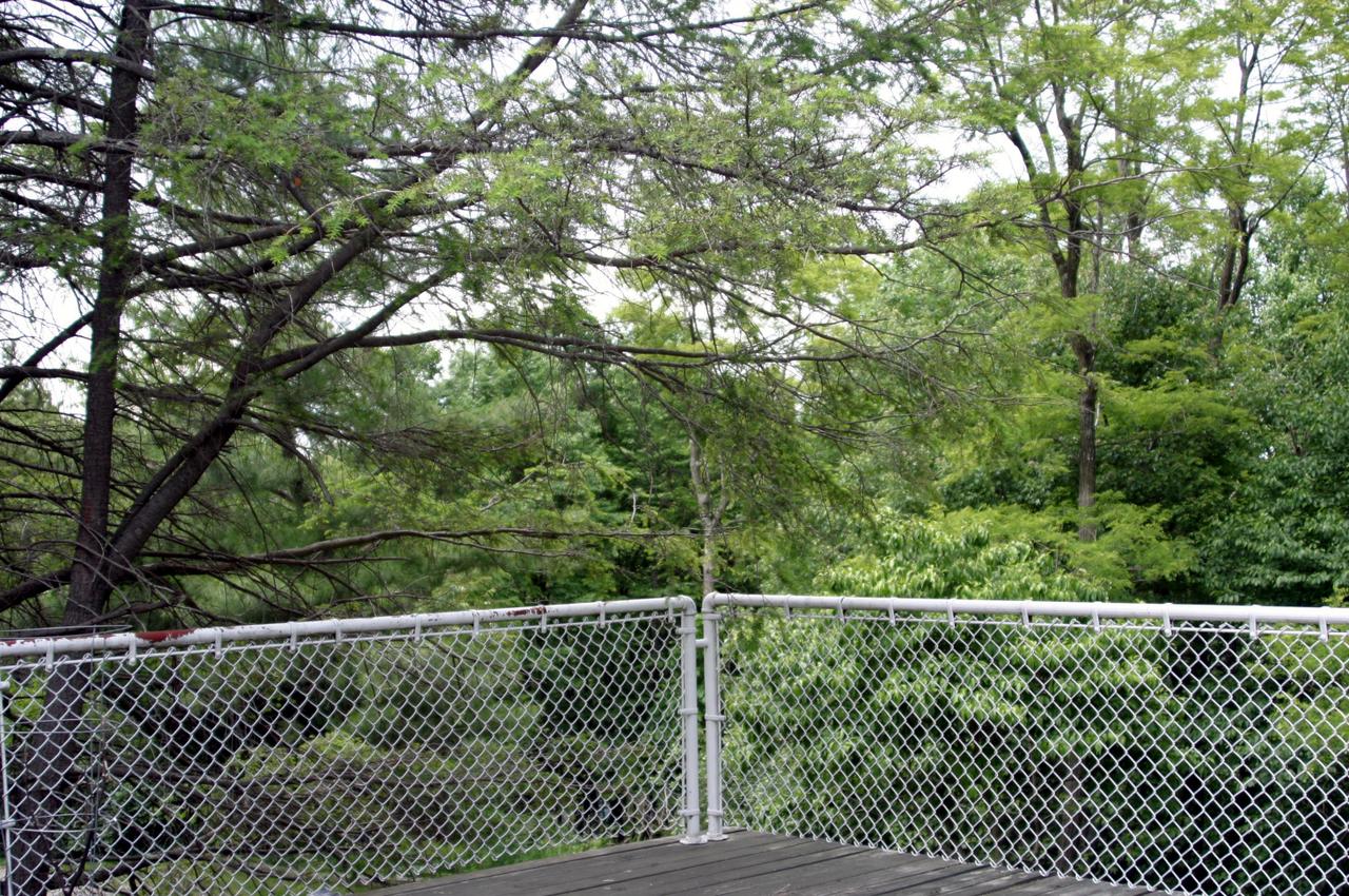 10625 Ivy Ridge Road Bent Mountain, VA 24059 - Photo 3 of 13 from Deck