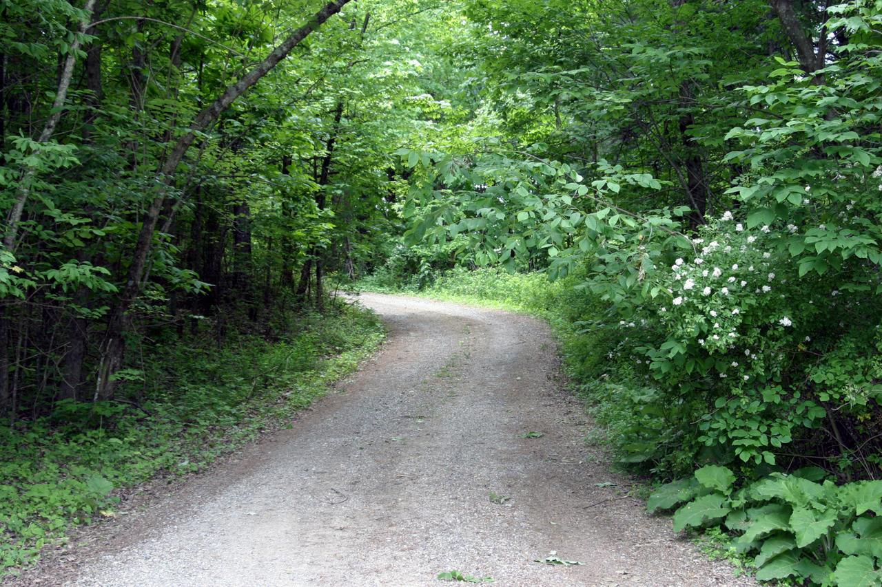 10625 Ivy Ridge Road Bent Mountain, VA 24059 - Photo 4 of 13 Driveway