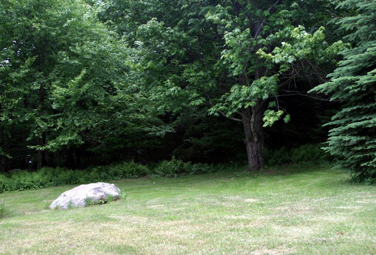10625 Ivy Ridge Road Bent Mountain, VA 24059 - Photo 5 of 13 Back Yard