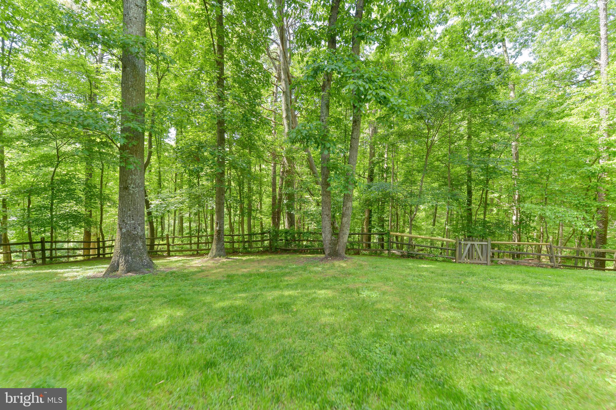 1956 Barton Hill Road Reston, VA 20191 - Photo 49 of 52