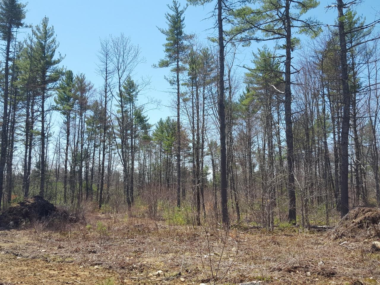 Lot 14-4 Beech Ridge Road North Berwick, ME 03906 - Photo 8 of 8 20190429_121328 (1280x960)