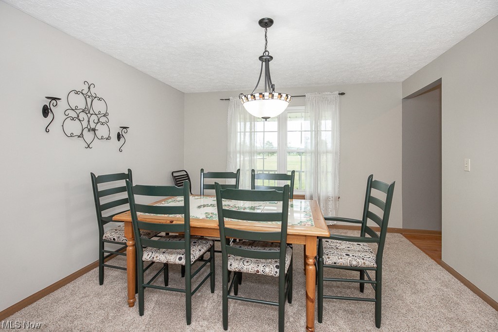 9708 Reed Road Grafton, OH 44044 - Photo 13 of 35 Carpeted dining room with a textured ceiling