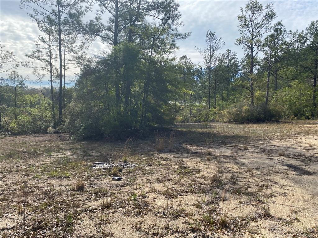 14100 Sharp Road Franklinton, LA 70438 - Photo 15 of 21 Gallery Image 15