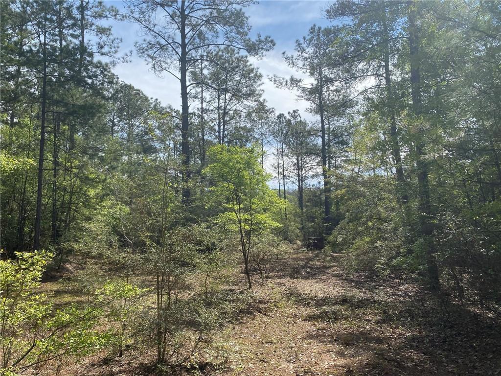14100 Sharp Road Franklinton, LA 70438 - Photo 16 of 21 Gallery Image 16