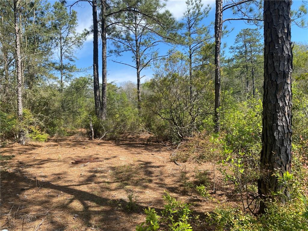 14100 Sharp Road Franklinton, LA 70438 - Photo 17 of 21 Gallery Image 17