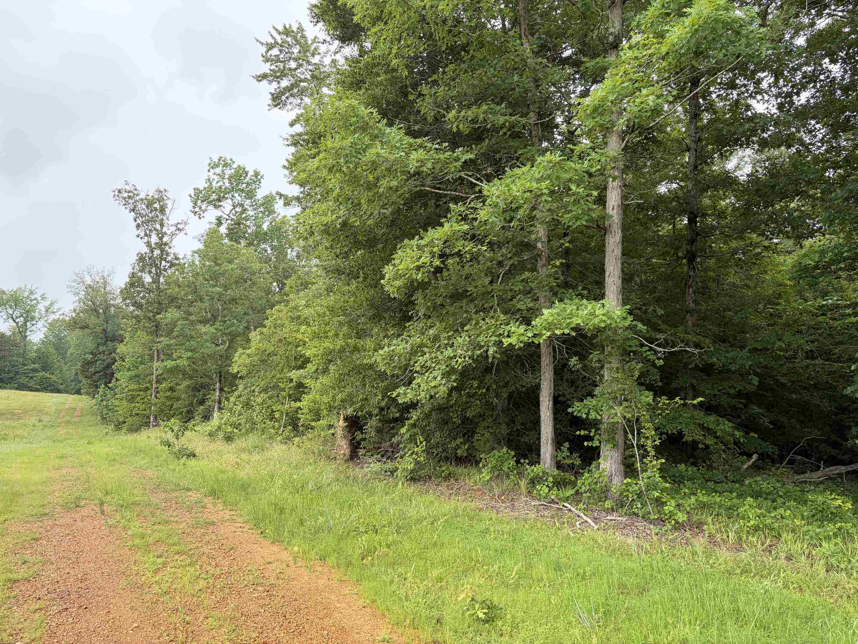 745 Foster Road Adamsville, TN 38310 - Photo 20 of 25 Gallery Image 20