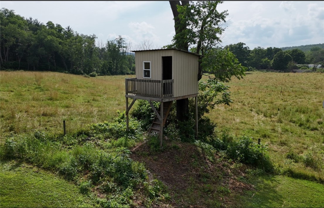 51 Goodrich Road Owego, NY 13827 - Photo 7 of 48 Tree house