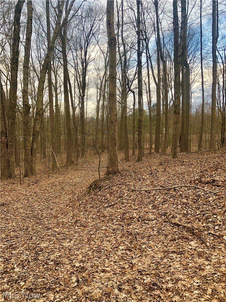 V/l Mogadore Road Kent, OH 44240 - Photo 5 of 10 Gallery Image 5