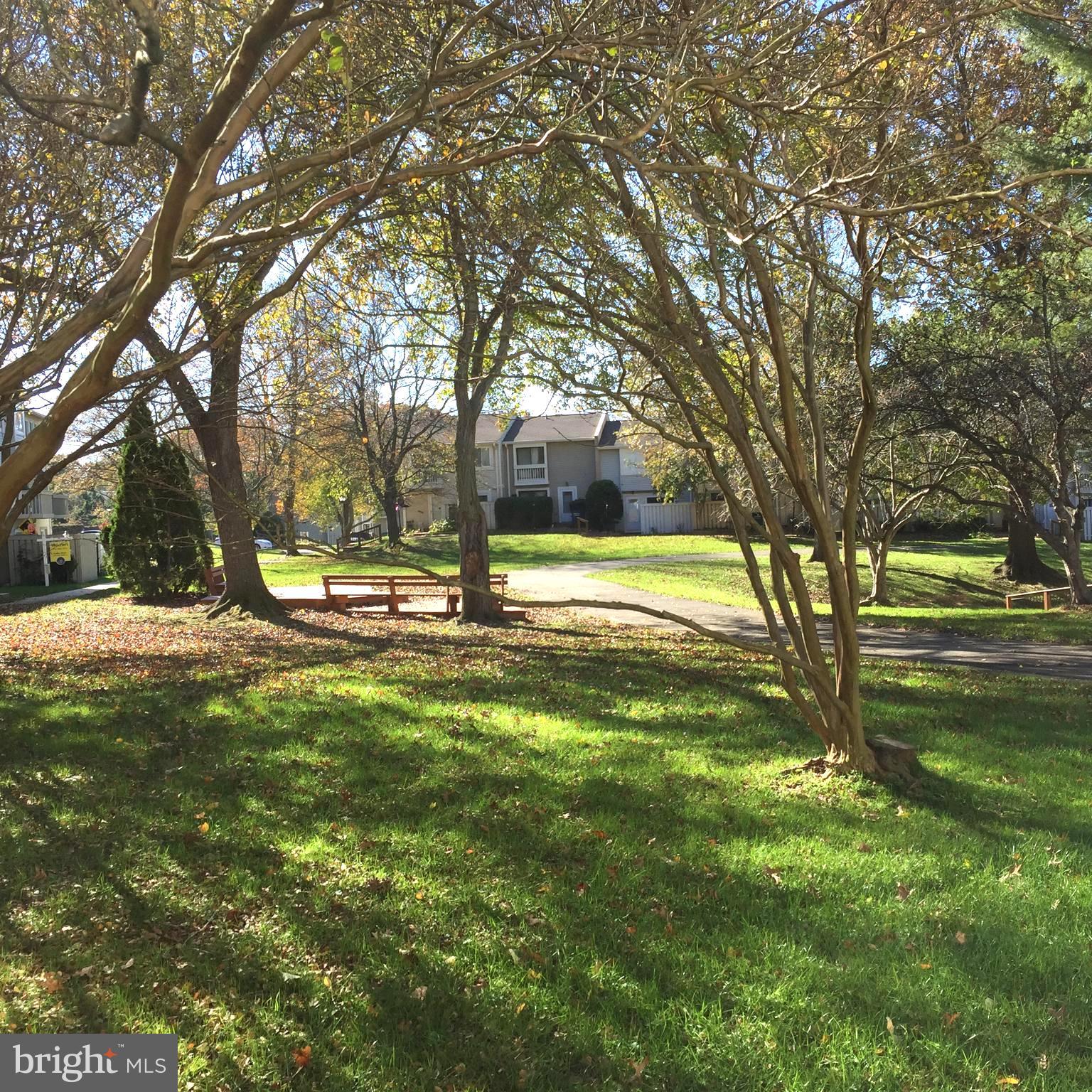 7224 Rolling Road Springfield, VA 22152 - Photo 22 of 27 View of Courtyard From Unit