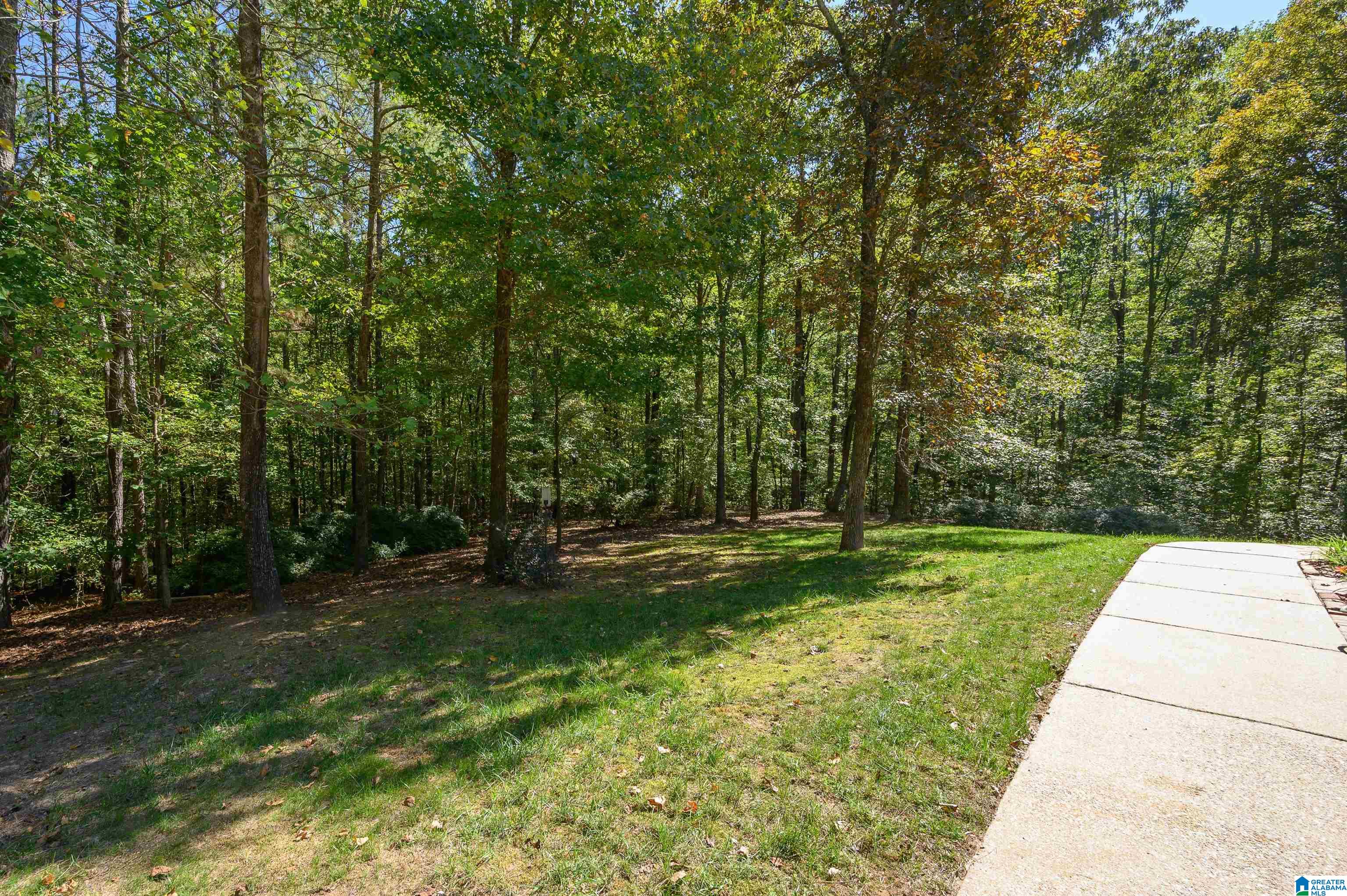 311 Hickory Valley Road Trussville, AL 35173 - Photo 59 of 67 Gallery Image 59