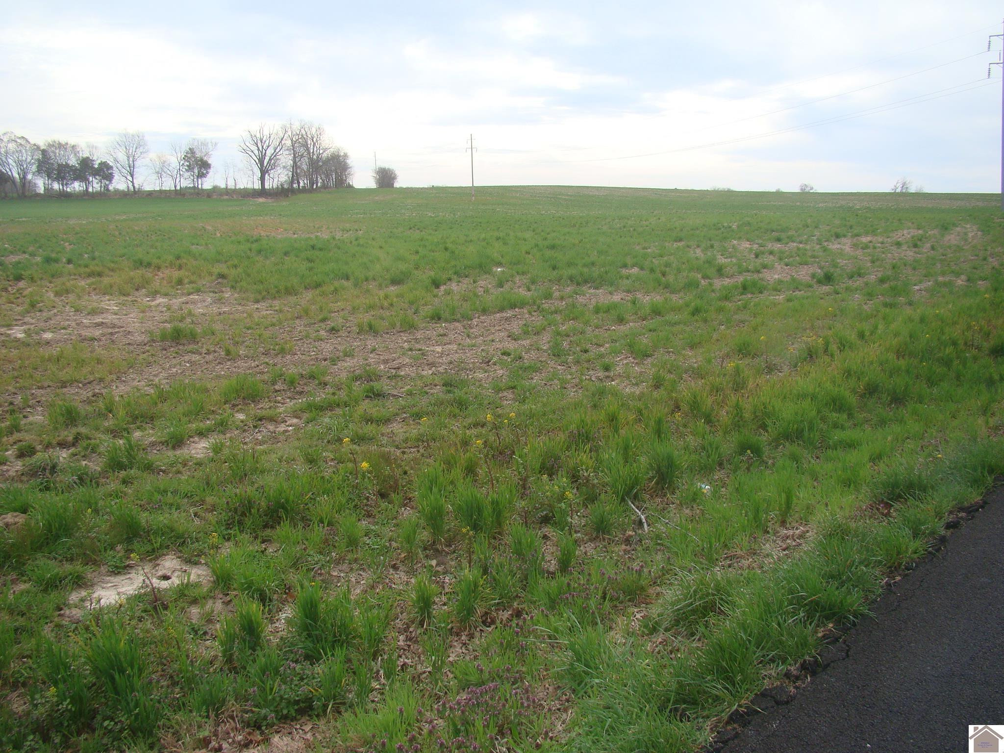 75 Stallins Road Princeton, KY 42445 - Photo 1 of 1 Photo 1