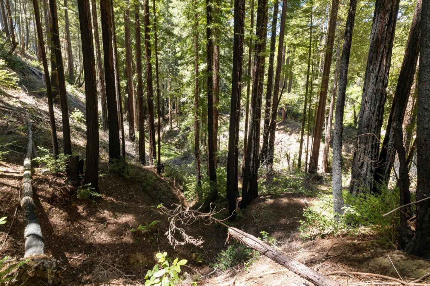 Lot 17 Branson Ranch Boulder Creek, CA 95006 - Photo 35 of 45 a view of backyard with green space