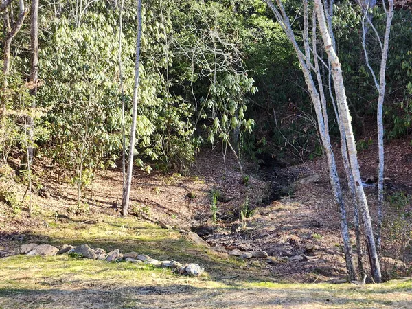 $299,000 | 820 Beaver Creek Road, Andrews, NC 28901