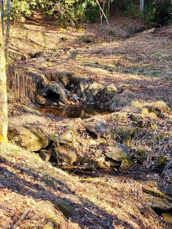 $299,000 | 820 Beaver Creek Road, Andrews, NC 28901