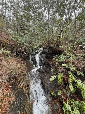 $299,000 | 820 Beaver Creek Road, Andrews, NC 28901