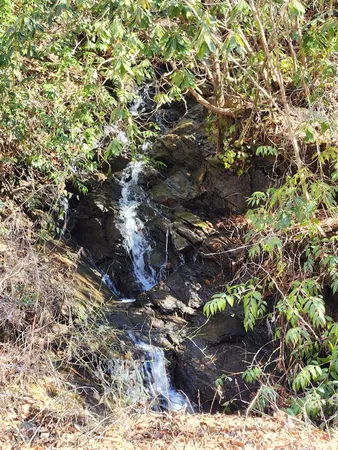 $299,000 | 820 Beaver Creek Road, Andrews, NC 28901